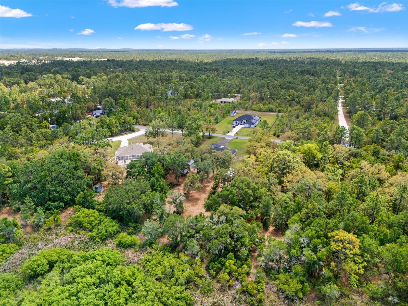 11099 YELLOW HAMMER RD, WEEKI WACHEE, FL, 34614