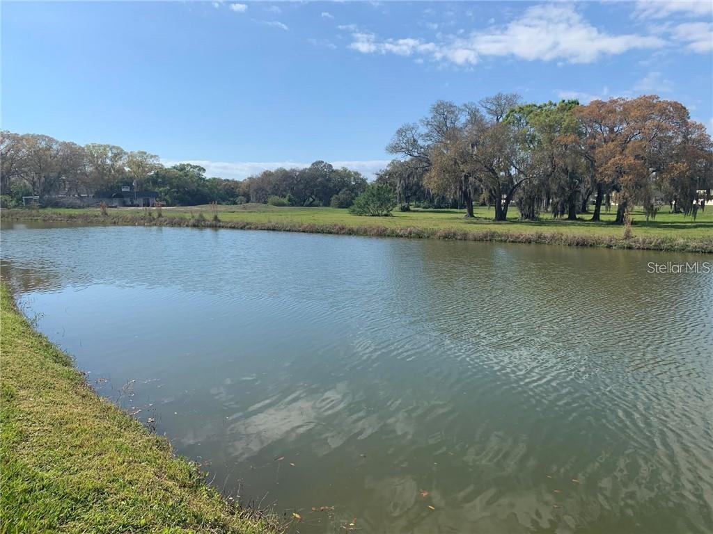 205 ANDOVER PL N #104, SUN CITY CENTER, FL, 33573