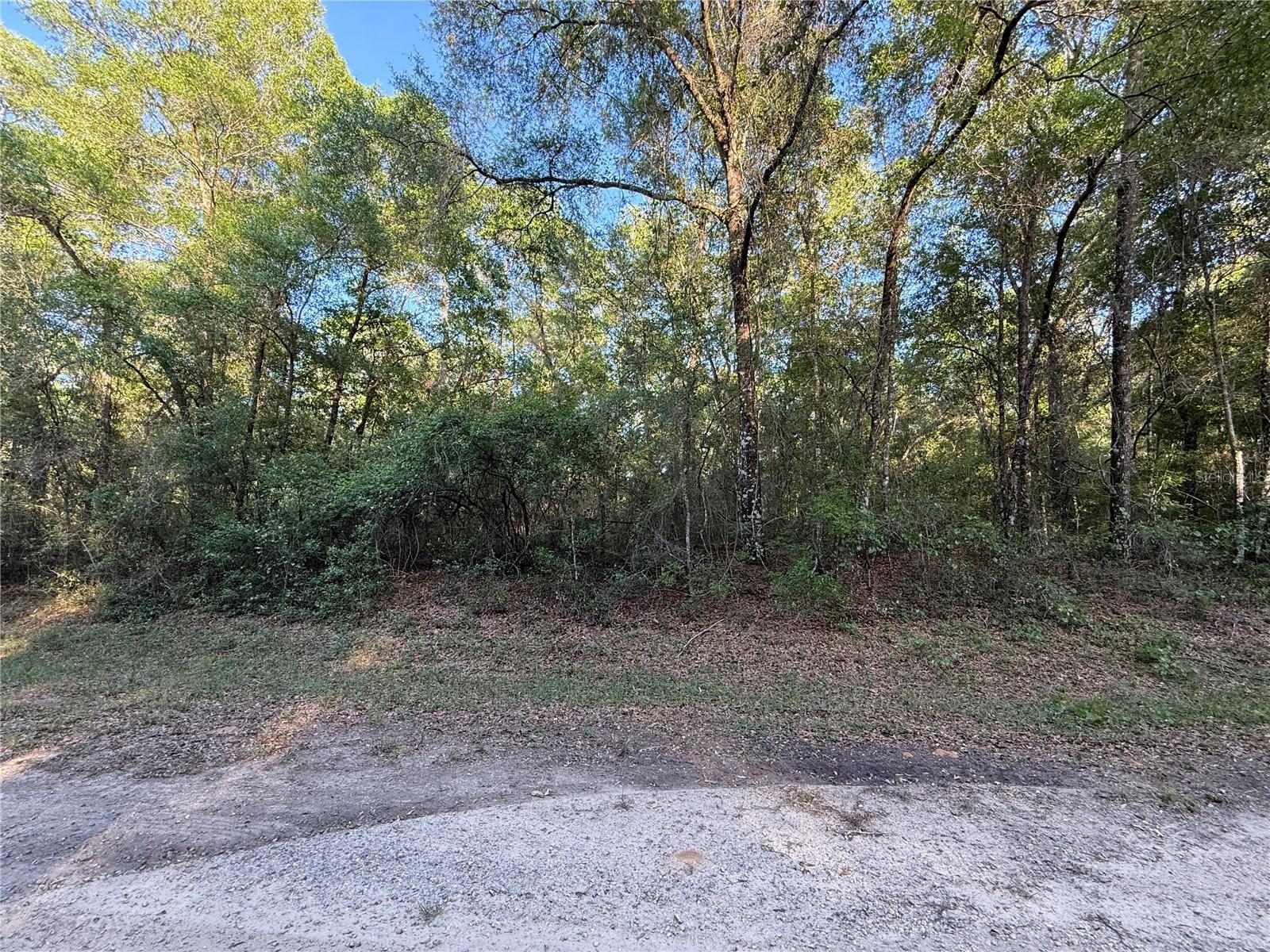 762 E ELGROVE DR, DUNNELLON, FL, 34434