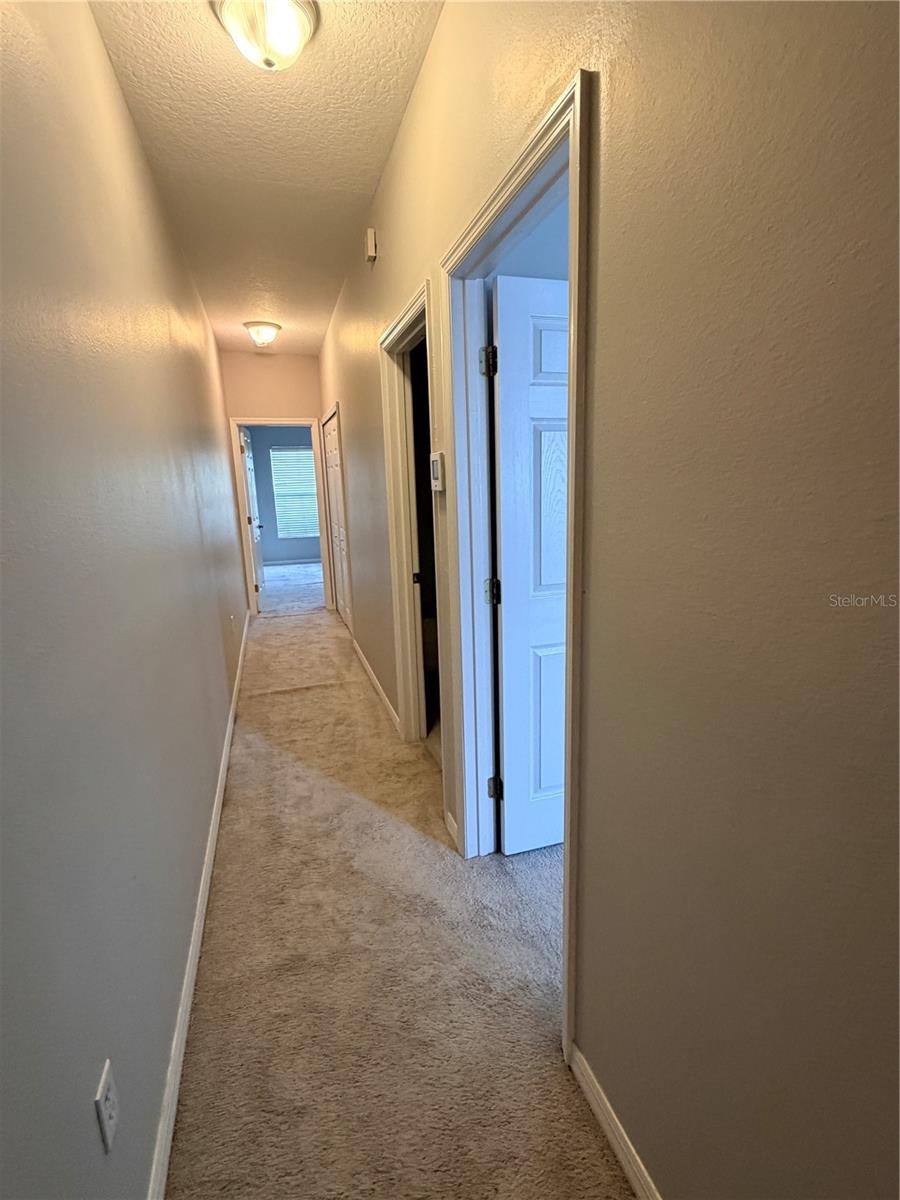 10321 WILLOW LEAF TRL, TAMPA, FL, 33625