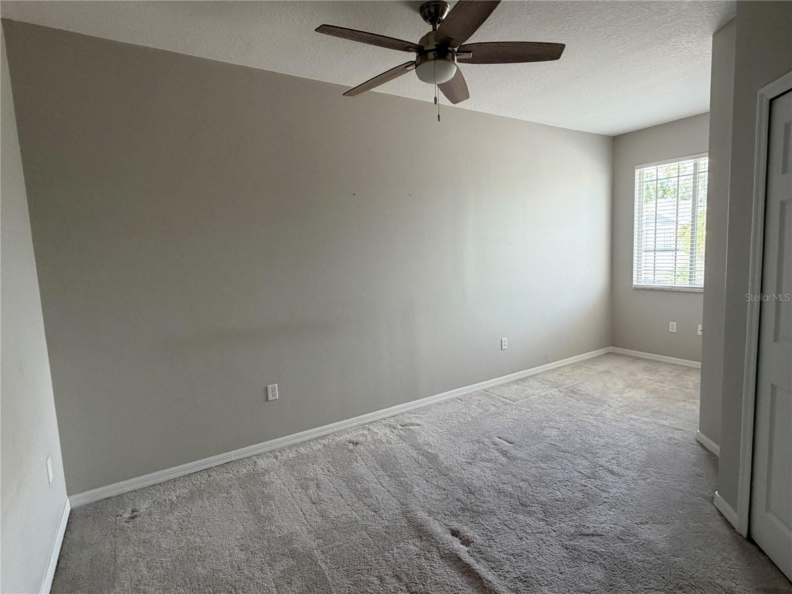 10321 WILLOW LEAF TRL, TAMPA, FL, 33625