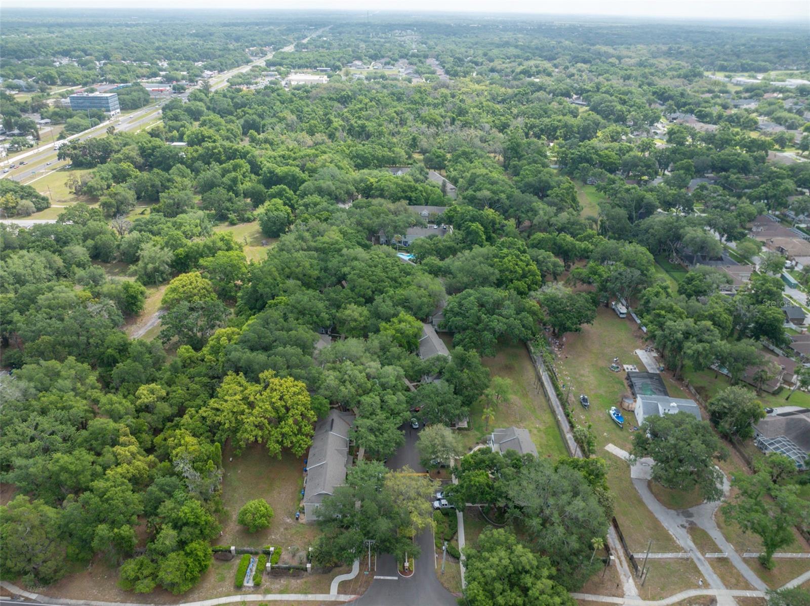 2118 GOLDEN OAK LN, VALRICO, FL, 33594