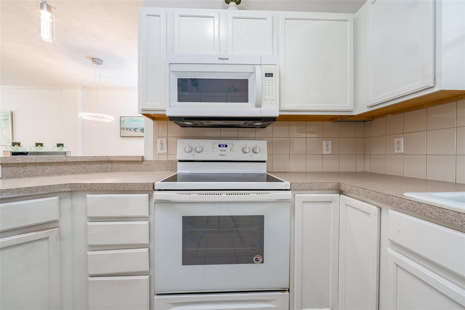 2118 GOLDEN OAK LN, VALRICO, FL, 33594