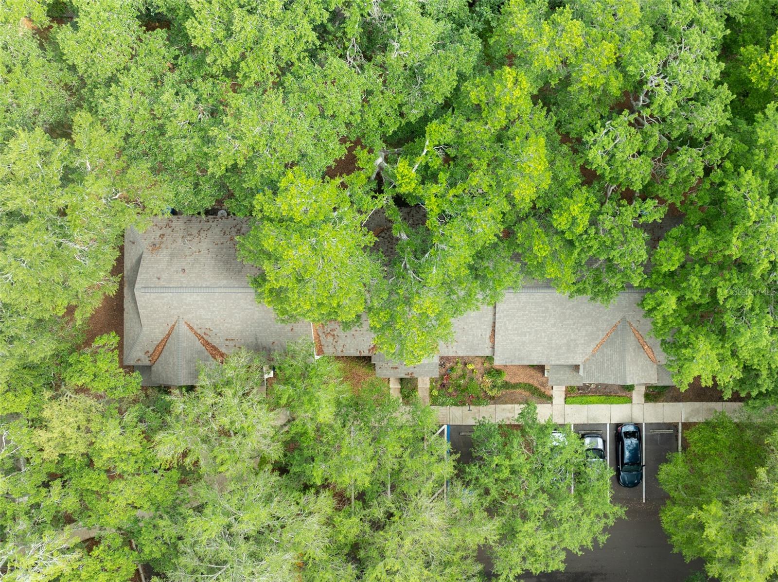 2118 GOLDEN OAK LN, VALRICO, FL, 33594