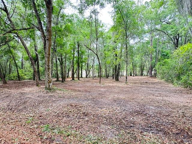 LOCUST RUN CRSE, OCALA, FL, 34472