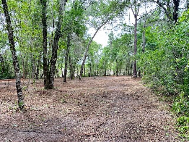 LOCUST RUN CRSE, OCALA, FL, 34472