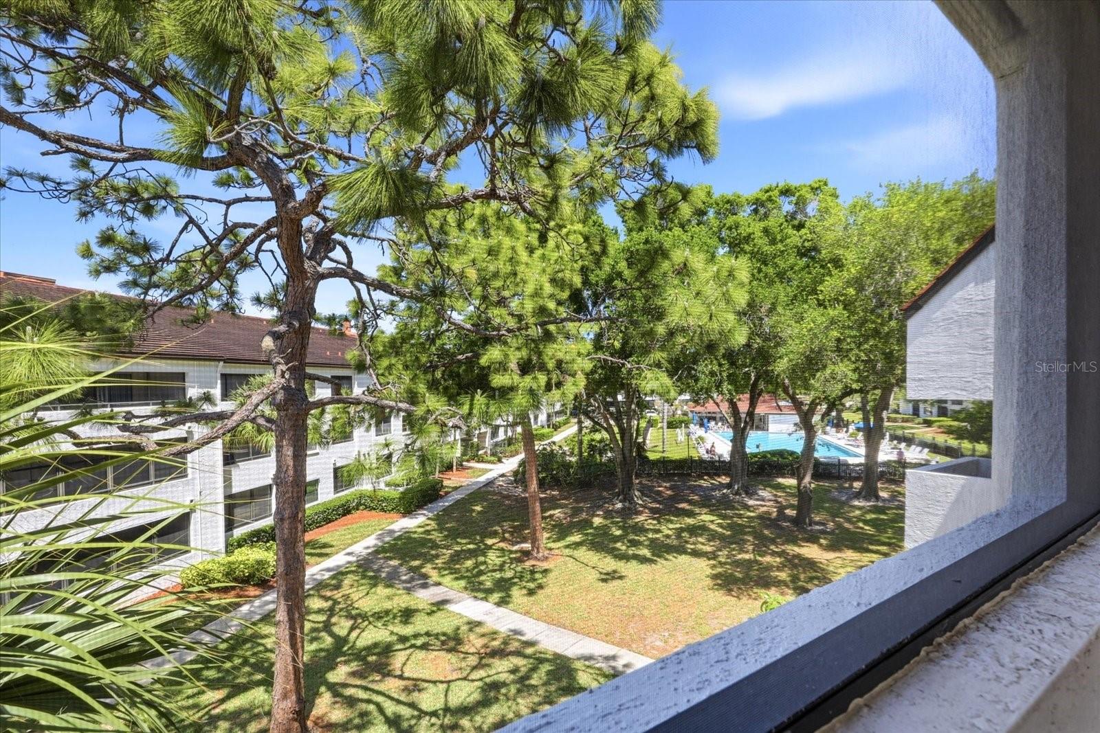 2593 COUNTRYSIDE BLVD #7301, CLEARWATER, FL, 33761