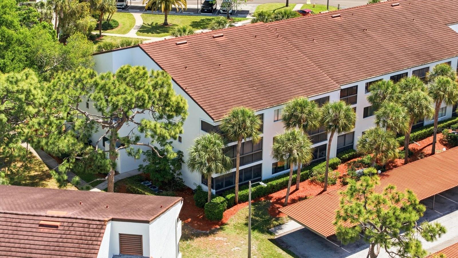 2593 COUNTRYSIDE BLVD #7301, CLEARWATER, FL, 33761