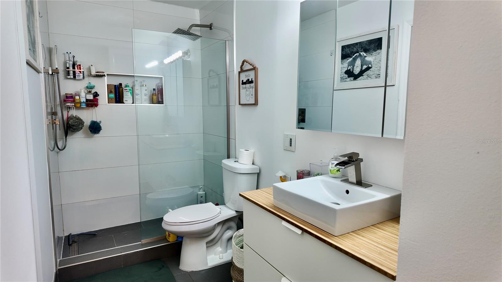 4694 PHEASANT RUN DR #2B, ORLANDO, FL, 32808