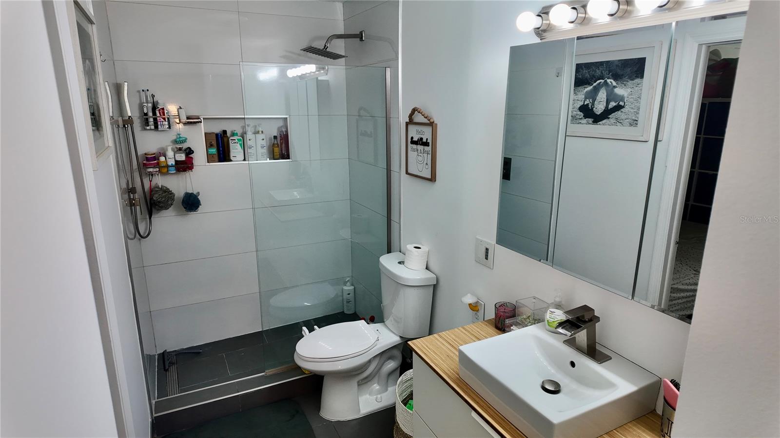 4694 PHEASANT RUN DR #2B, ORLANDO, FL, 32808