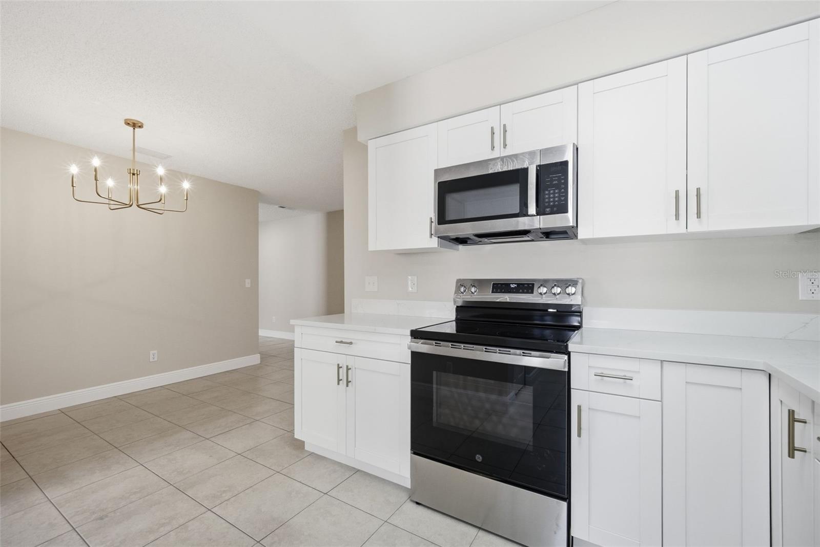 4017 BRAESGATE LN, TAMPA, FL, 33624