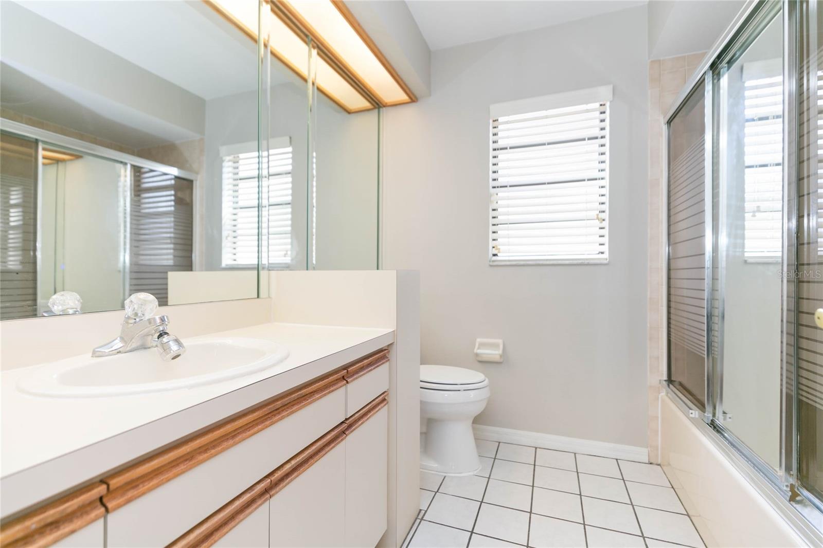 2528 BRIMHOLLOW DR, VALRICO, FL, 33596