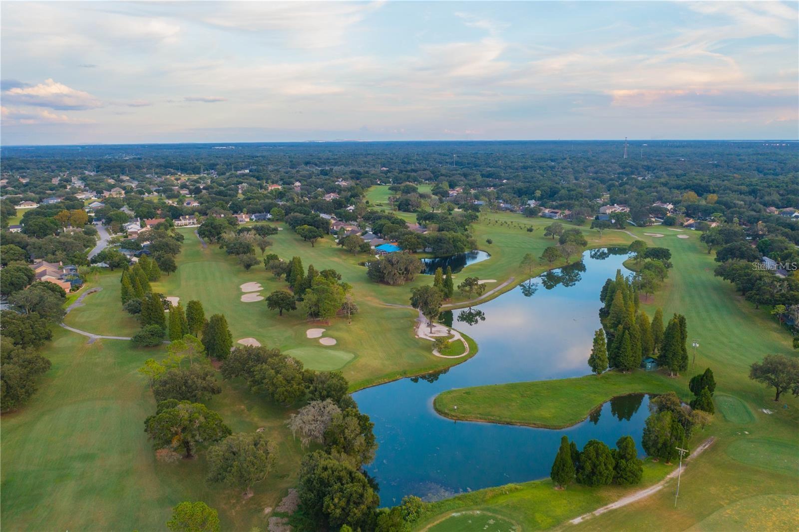 2528 BRIMHOLLOW DR, VALRICO, FL, 33596