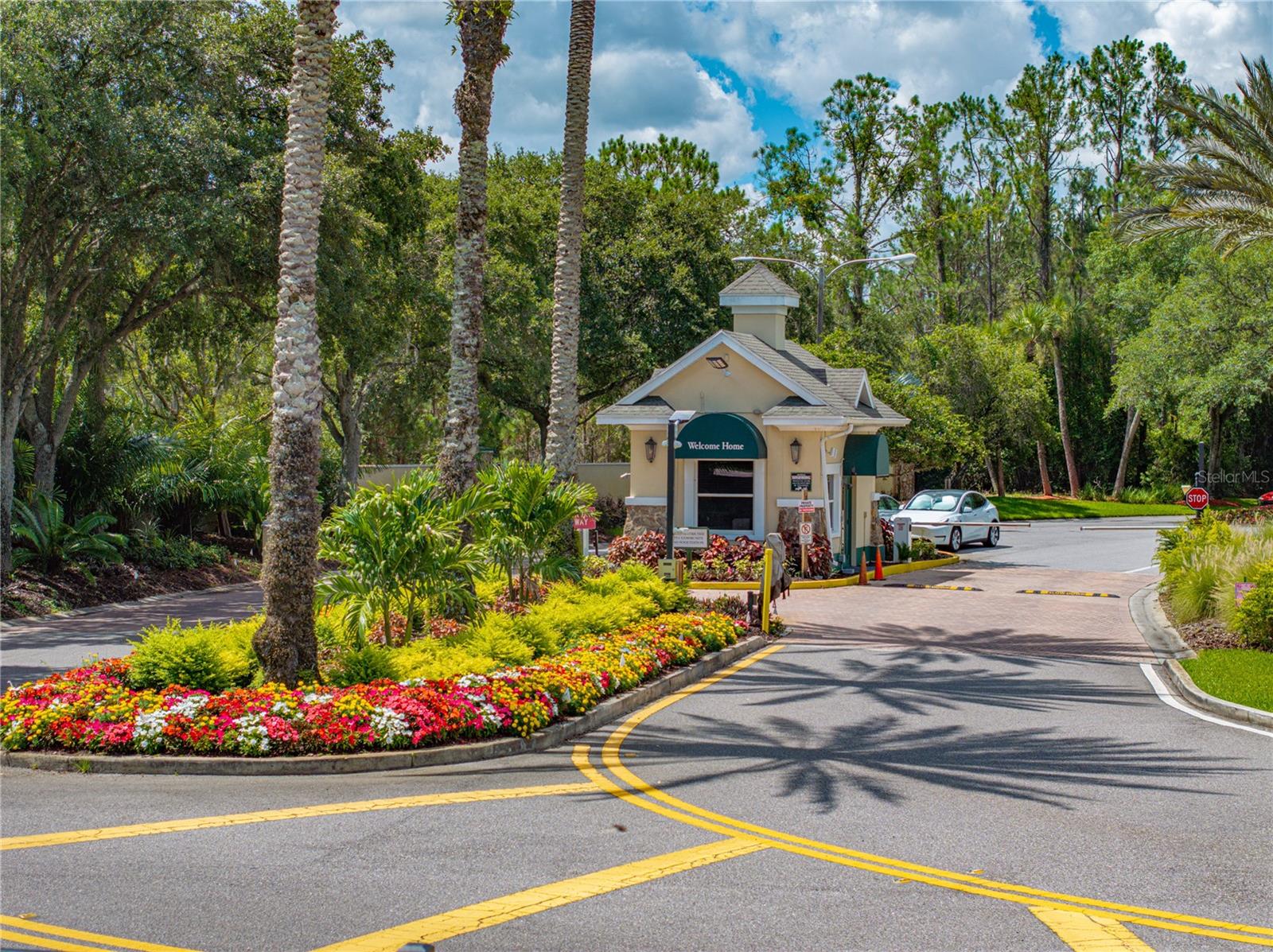 10817 HOCK LN, SAN ANTONIO, FL, 33576