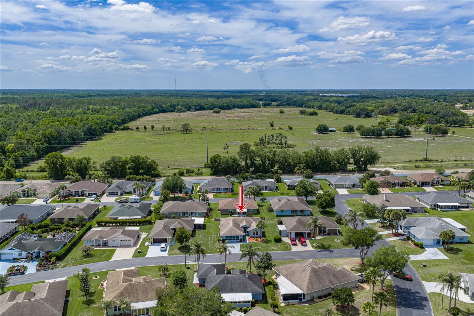 10817 HOCK LN, SAN ANTONIO, FL, 33576