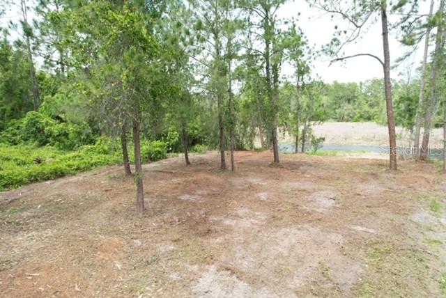 LOCUST RUN DR, OCALA, FL, 34472