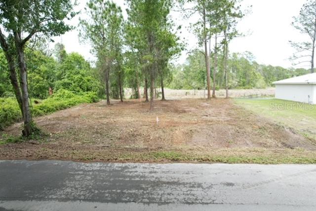 LOCUST RUN DR, OCALA, FL, 34472