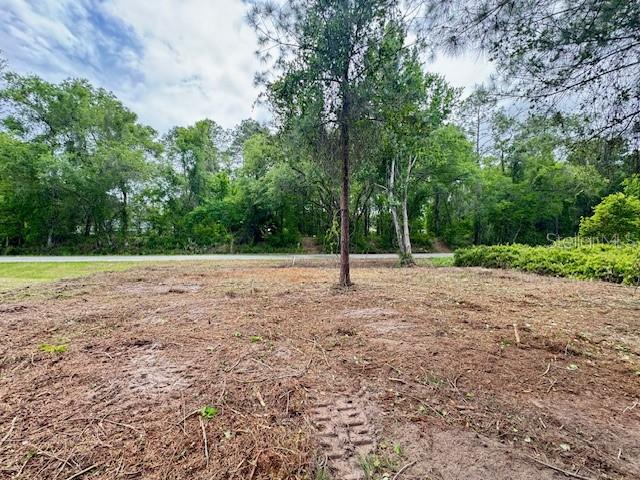 LOCUST RUN DR, OCALA, FL, 34472