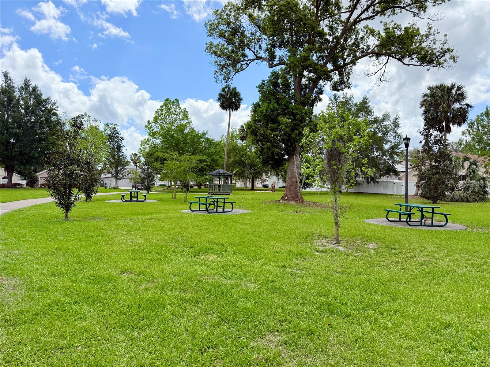 592 BLUE PARK RD, ORANGE CITY, FL, 32763