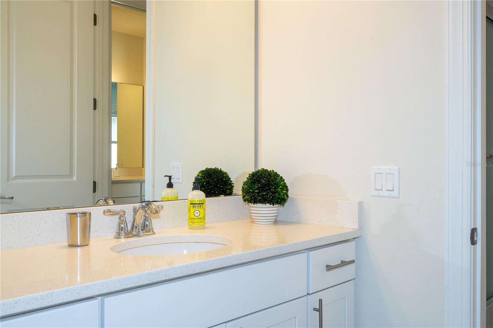 11142 LEMON LAKE BLVD, ORLANDO, FL, 32836