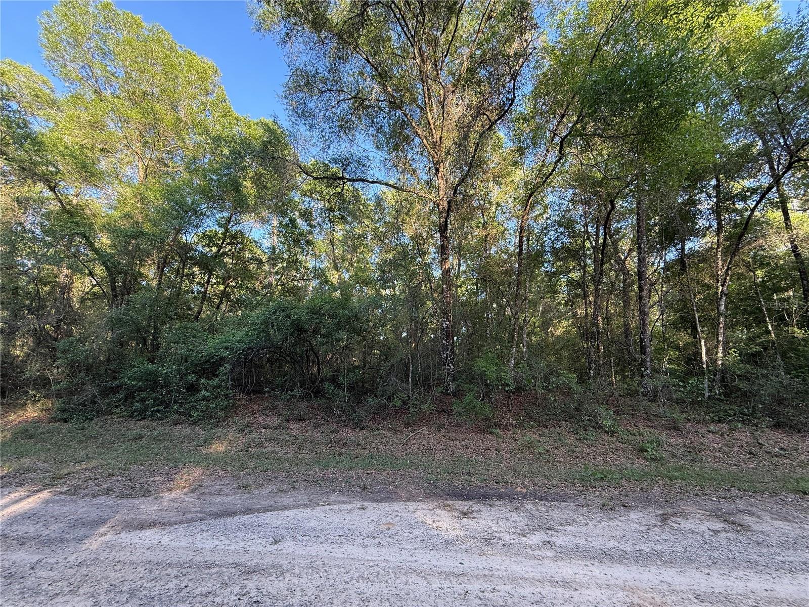 780 E ELGROVE DR, DUNNELLON, FL, 34434