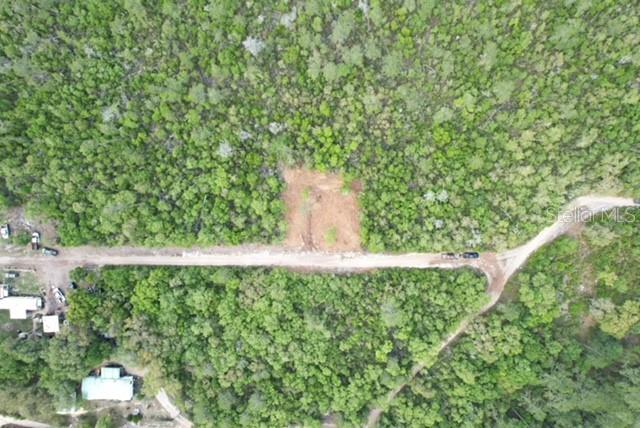 21575 SE 145TH PL, UMATILLA, FL, 32784