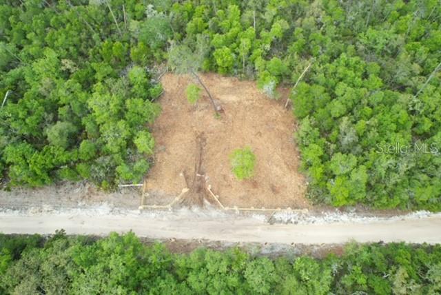 21575 SE 145TH PL, UMATILLA, FL, 32784