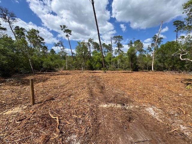 21575 SE 145TH PL, UMATILLA, FL, 32784