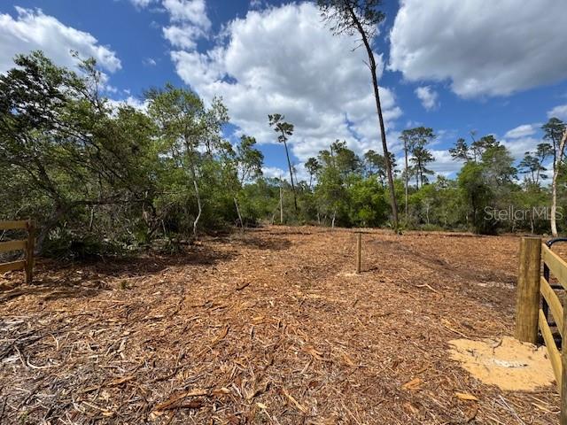 21575 SE 145TH PL, UMATILLA, FL, 32784