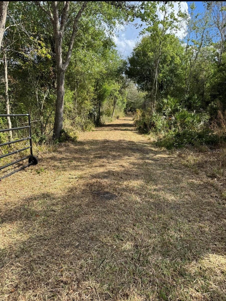 36564 SINGLETARY RD, MYAKKA CITY, FL, 34251