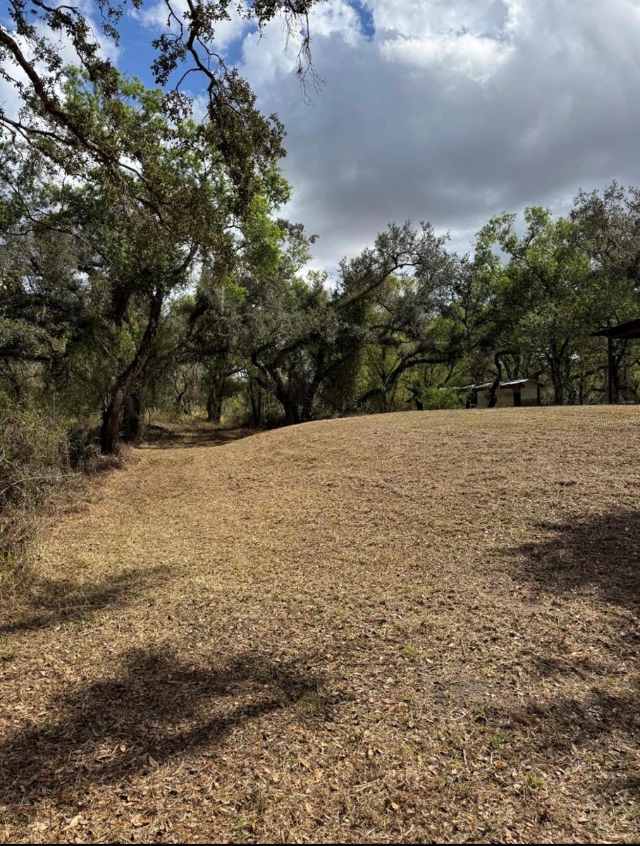 36564 SINGLETARY RD, MYAKKA CITY, FL, 34251