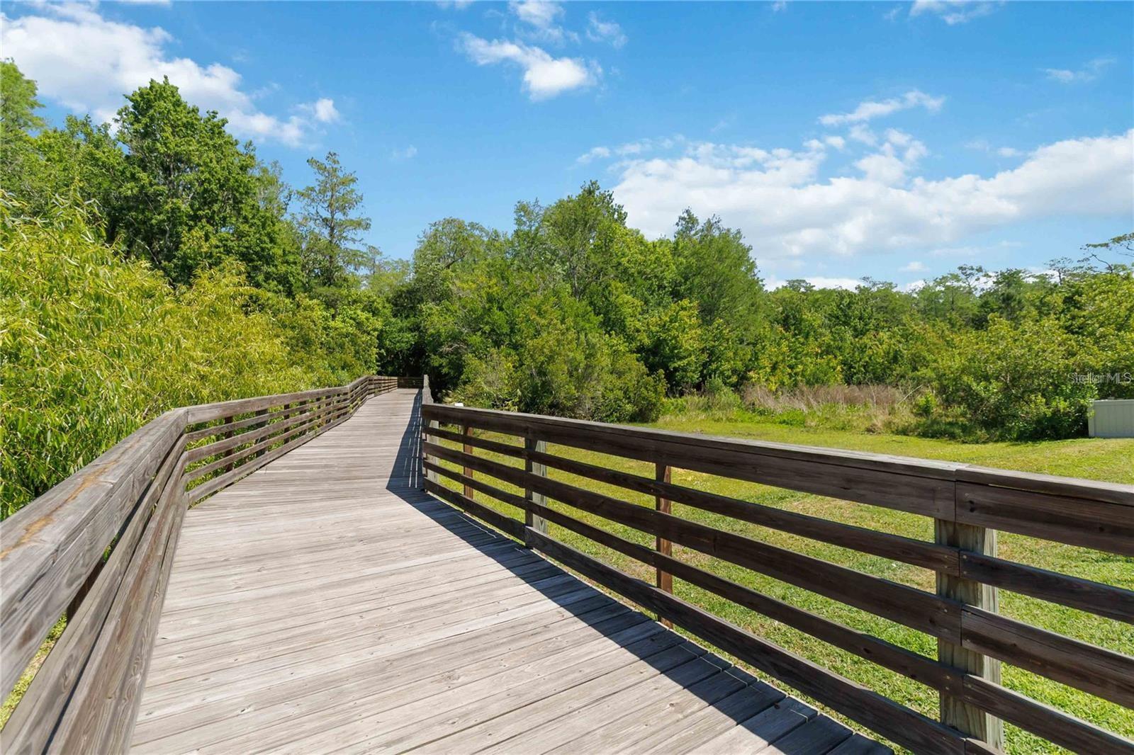 10734 BELLE MAISONS DR, ORLANDO, FL, 32832