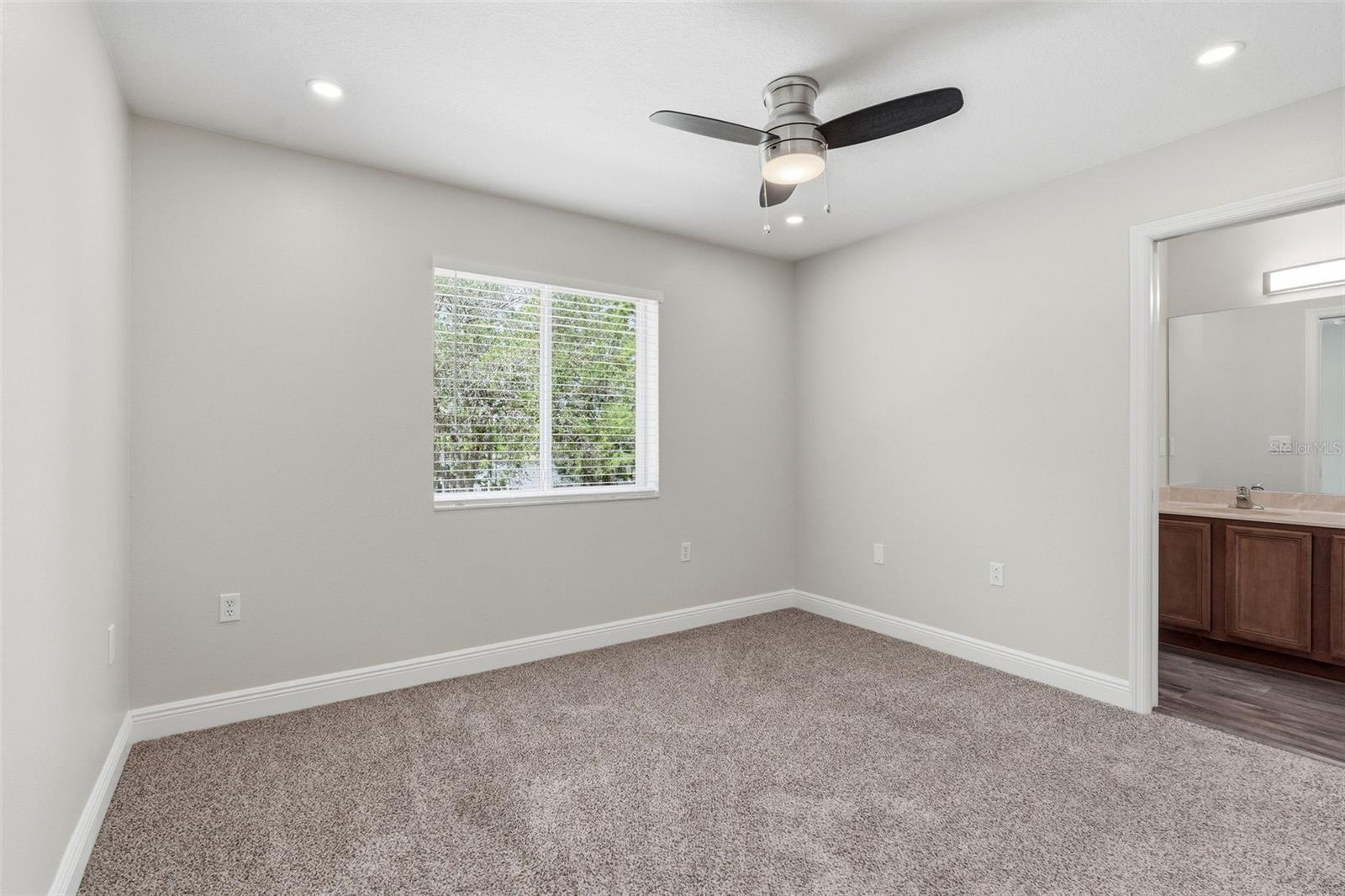 20484 NEEDLETREE DR, TAMPA, FL, 33647