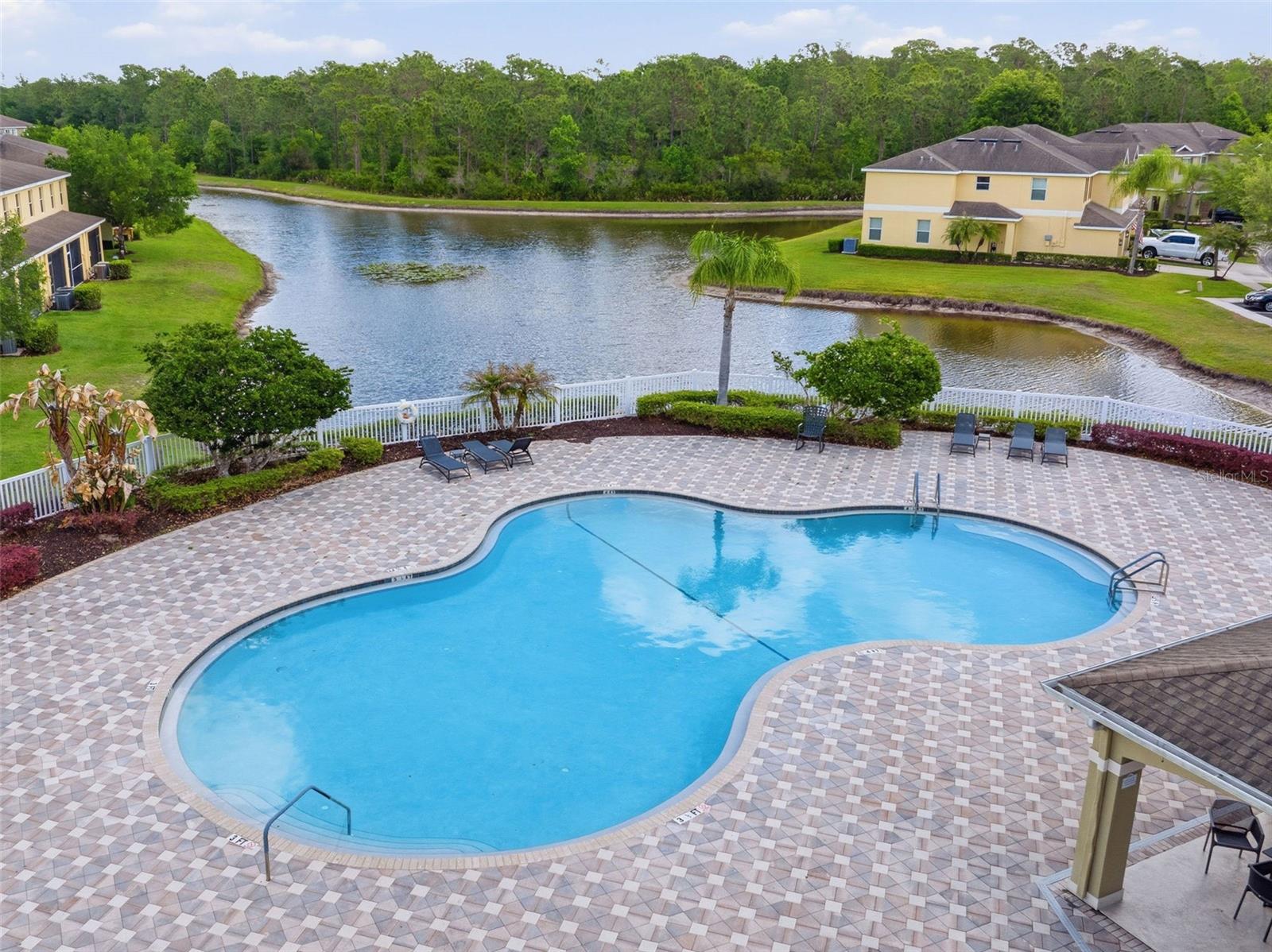 20484 NEEDLETREE DR, TAMPA, FL, 33647