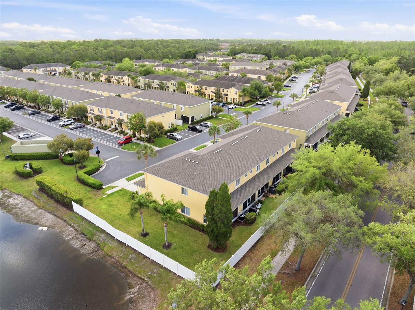 20484 NEEDLETREE DR, TAMPA, FL, 33647