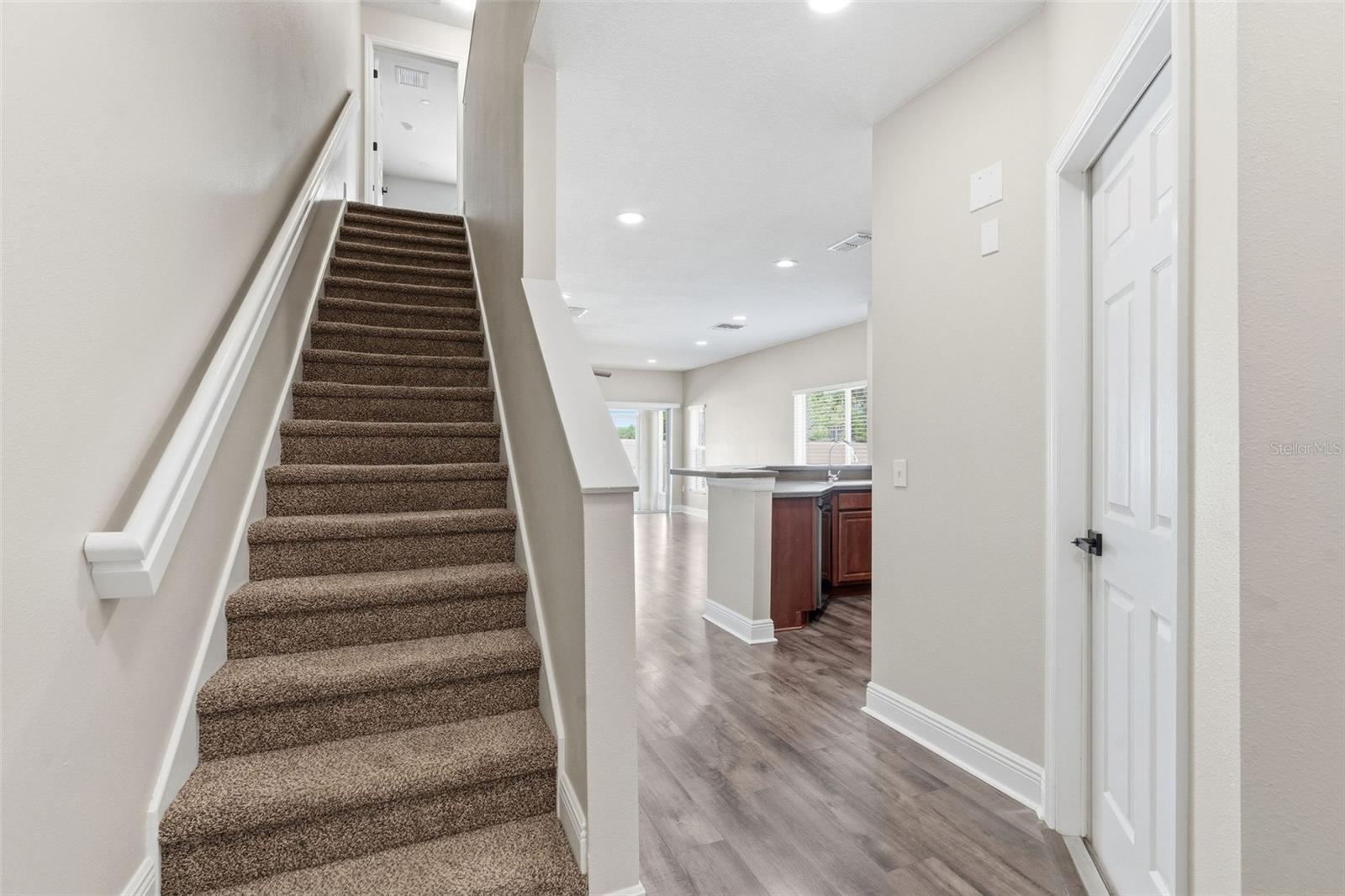 20484 NEEDLETREE DR, TAMPA, FL, 33647