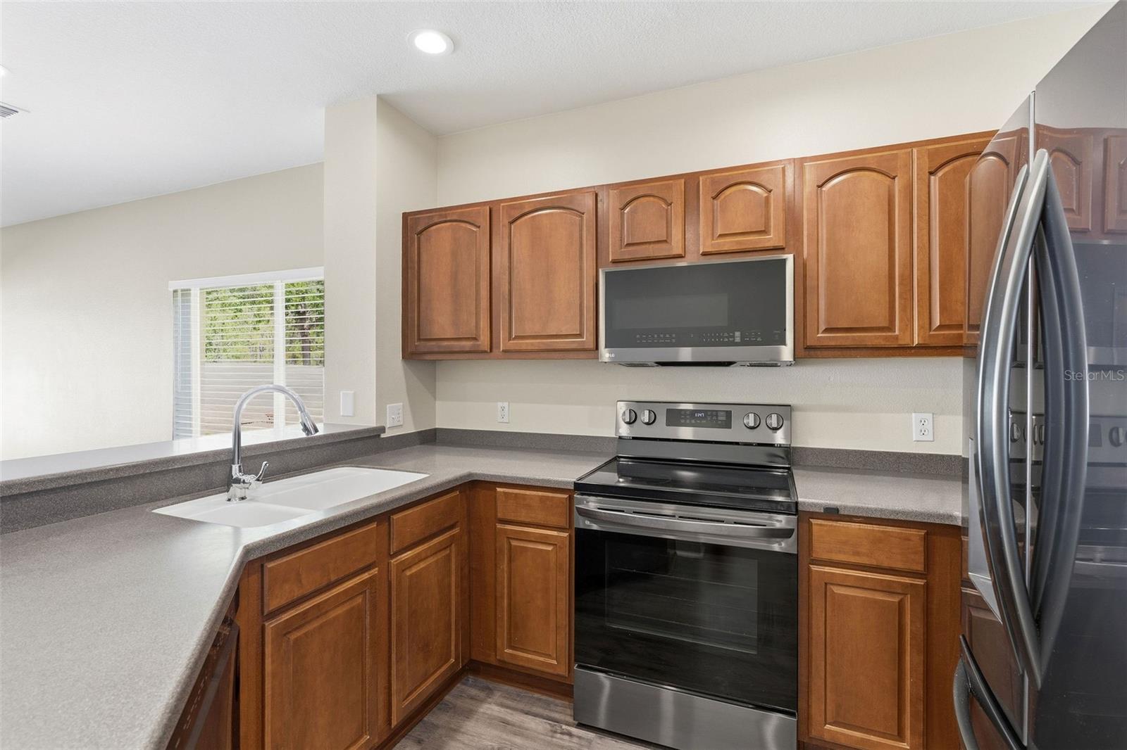 20484 NEEDLETREE DR, TAMPA, FL, 33647