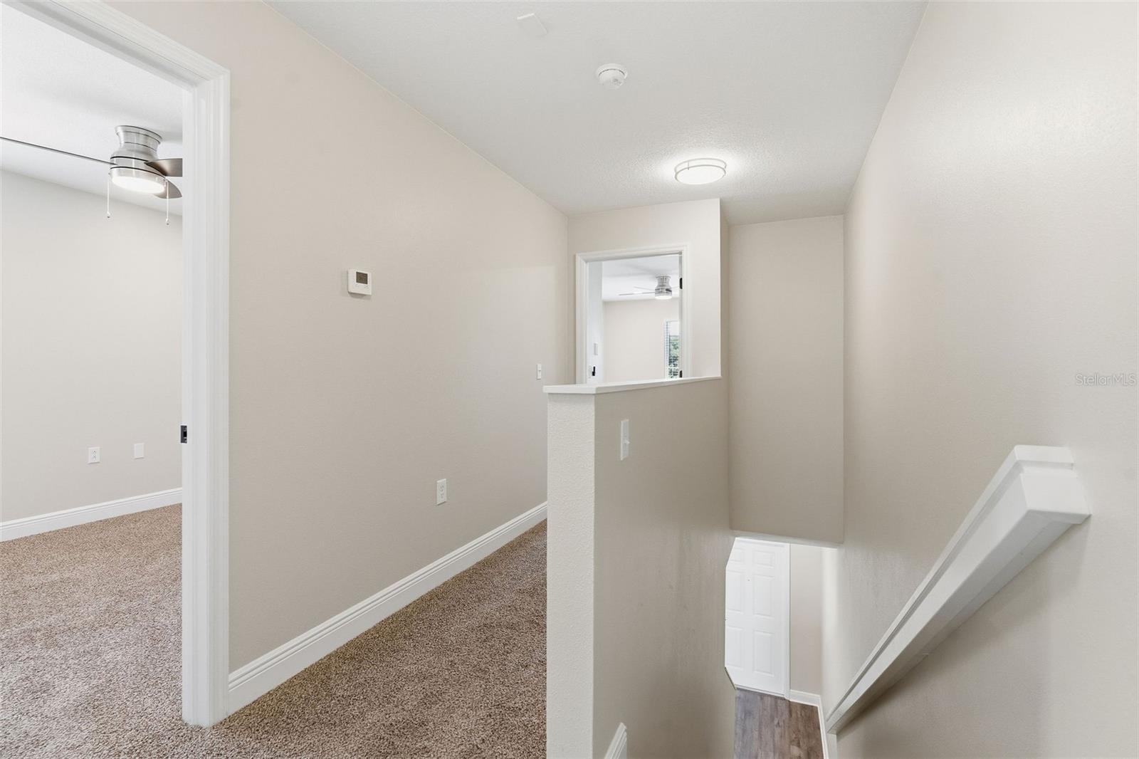 20484 NEEDLETREE DR, TAMPA, FL, 33647