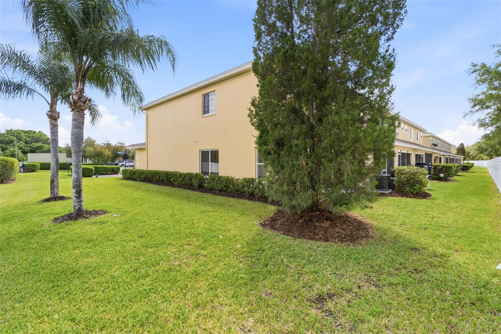 20484 NEEDLETREE DR, TAMPA, FL, 33647