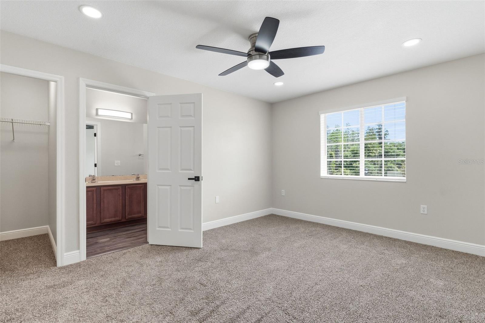 20484 NEEDLETREE DR, TAMPA, FL, 33647