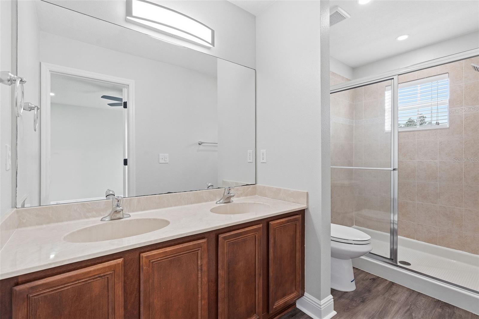 20484 NEEDLETREE DR, TAMPA, FL, 33647