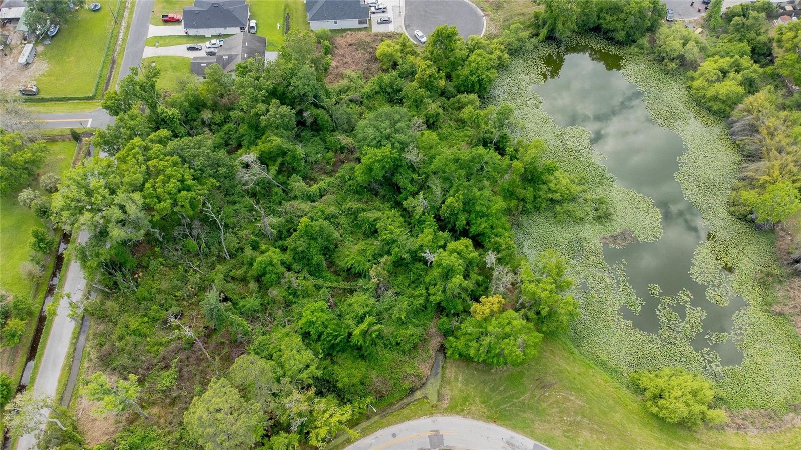 N SEMINOLE LAKE BLVD, PLANT CITY, FL, 33563