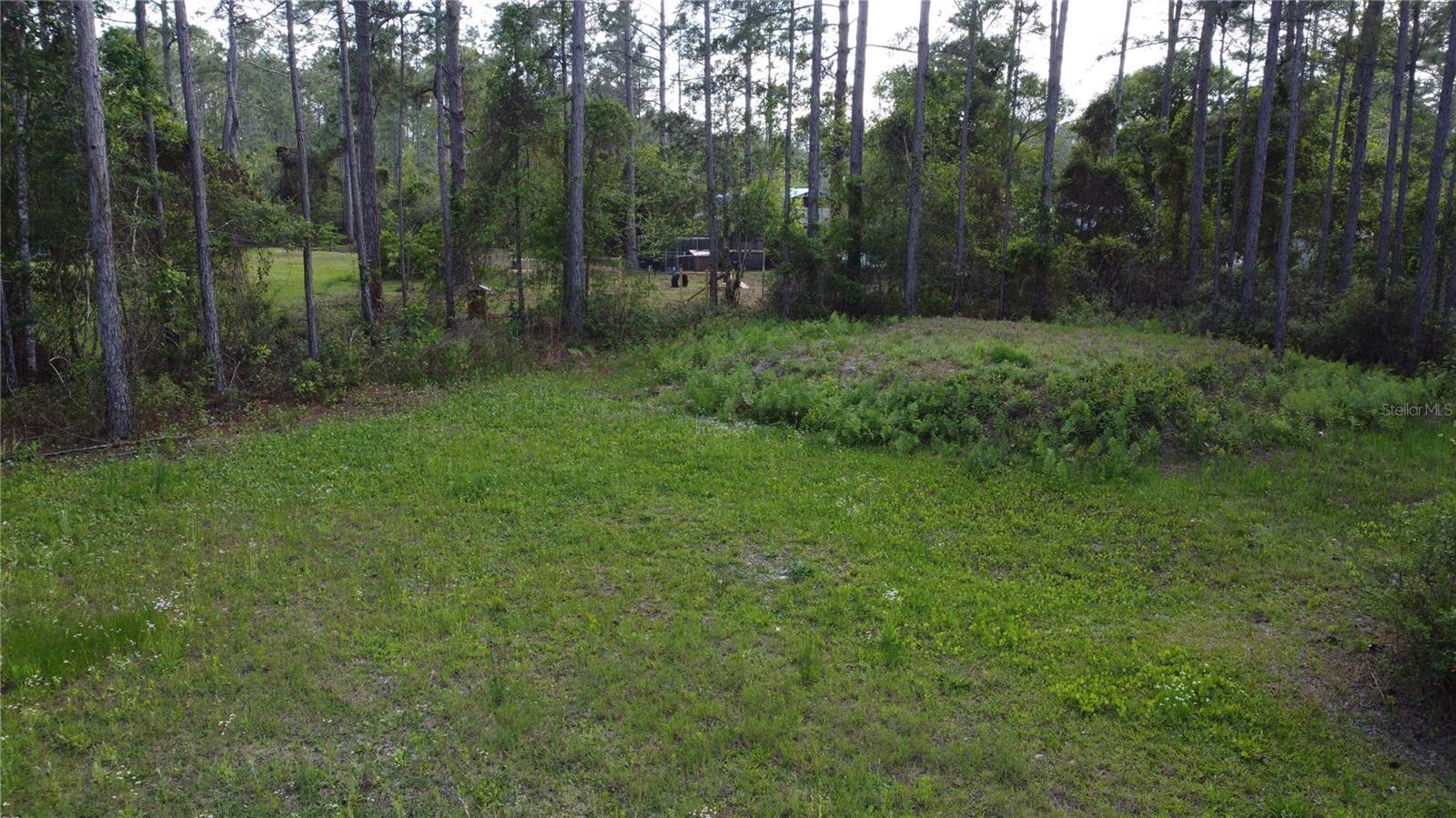 10205 BAYLOR AVE, HASTINGS, FL, 32145