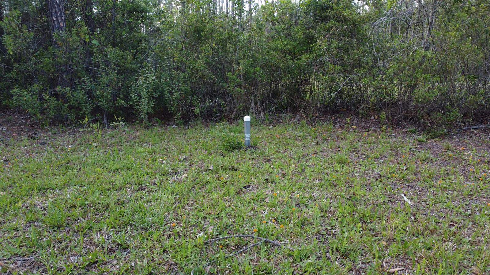 10205 BAYLOR AVE, HASTINGS, FL, 32145