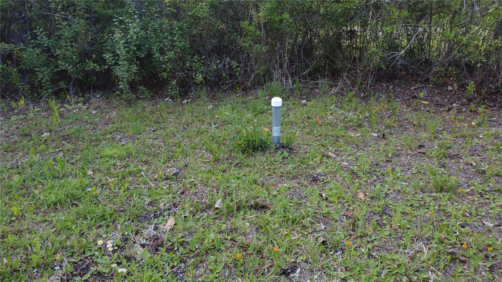 10205 BAYLOR AVE, HASTINGS, FL, 32145