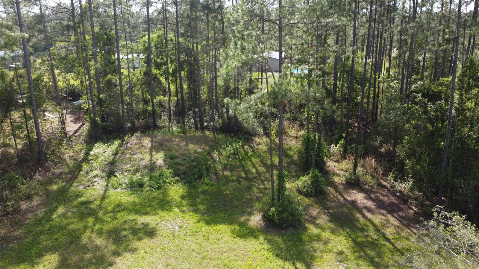 10205 BAYLOR AVE, HASTINGS, FL, 32145