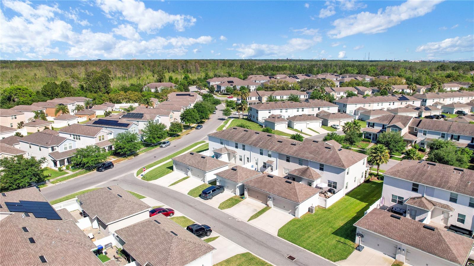 10031 MEMOIR AVE, WINTER GARDEN, FL, 34787