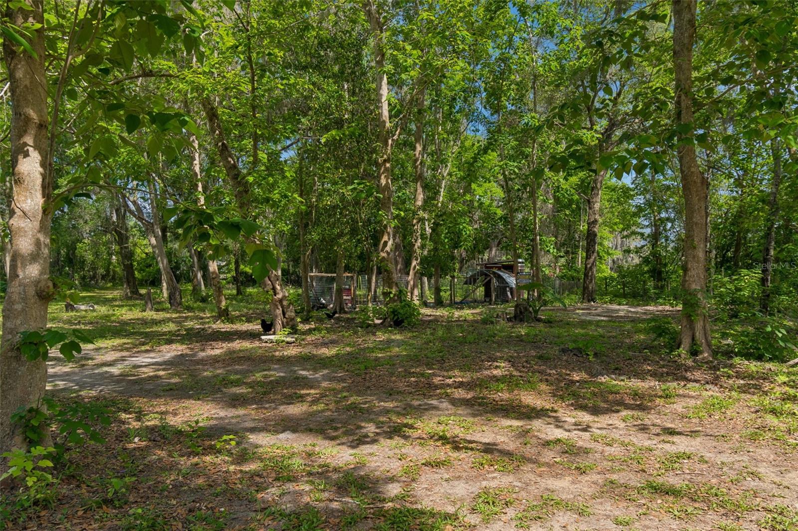 17114 BRITTLE RD, BROOKSVILLE, FL, 34601