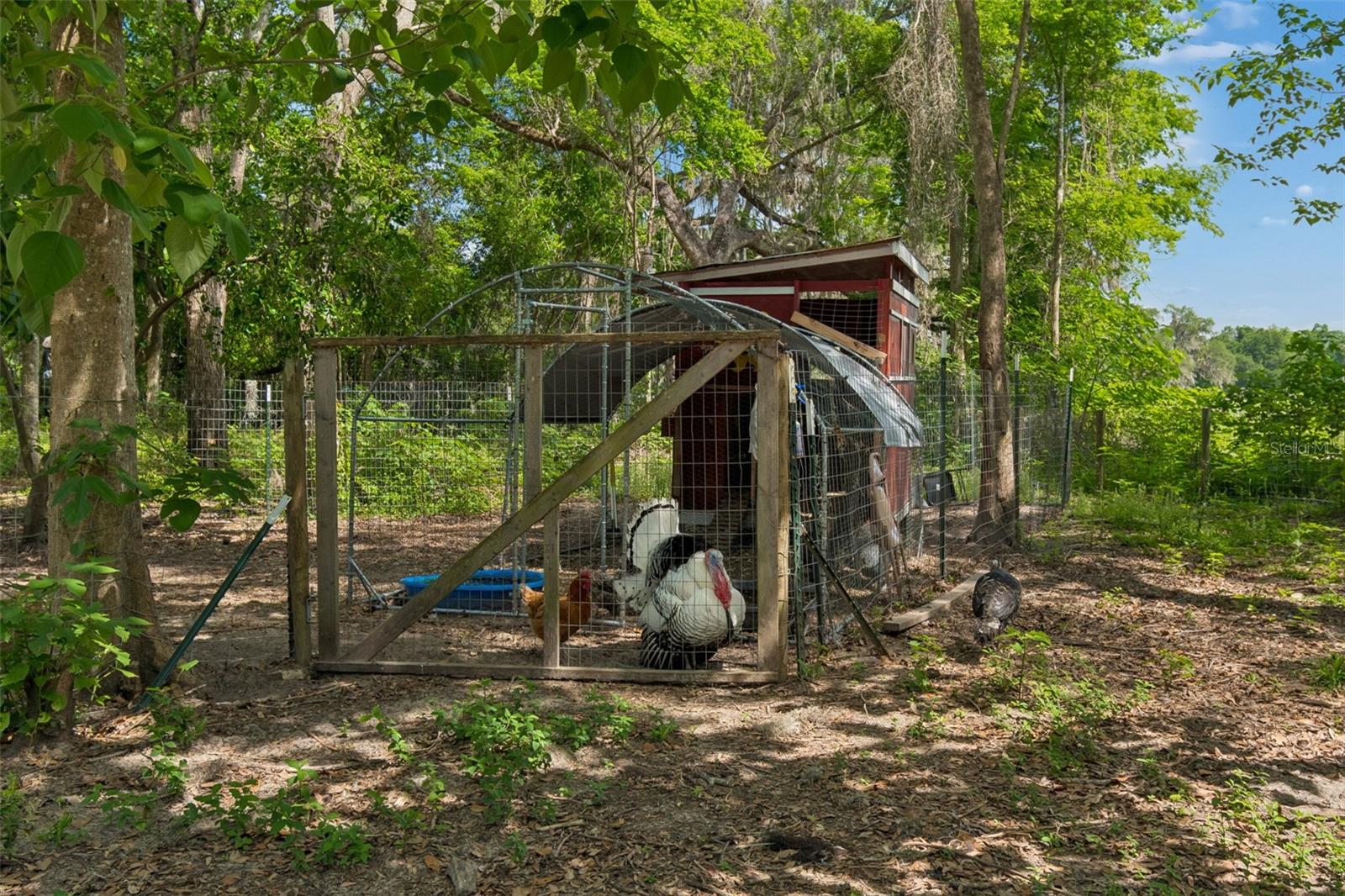 17114 BRITTLE RD, BROOKSVILLE, FL, 34601