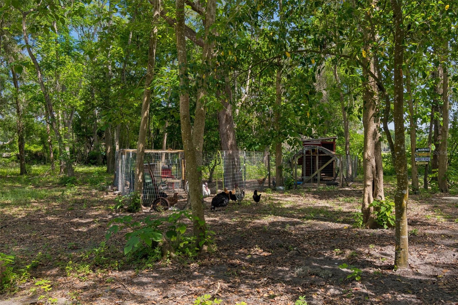 17114 BRITTLE RD, BROOKSVILLE, FL, 34601